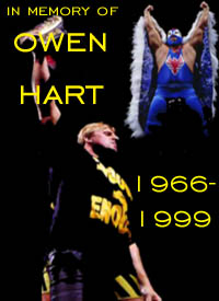  Owen Hart: 1966 - 1999 ( (C) The Endbringer, 1999) 